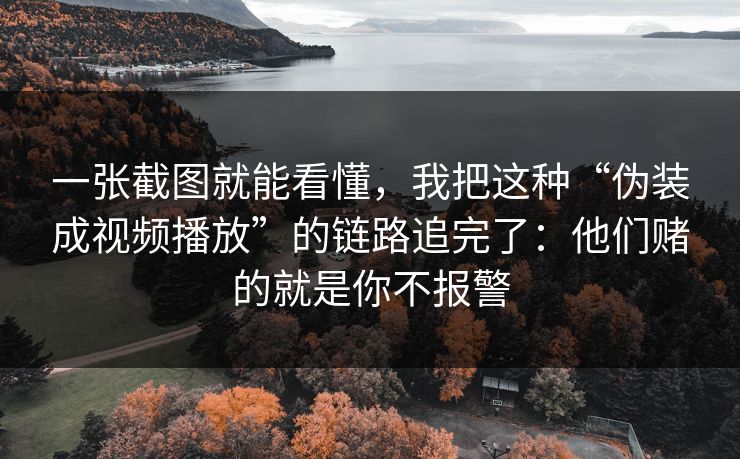 一张截图就能看懂，我把这种“伪装成视频播放”的链路追完了：他们赌的就是你不报警