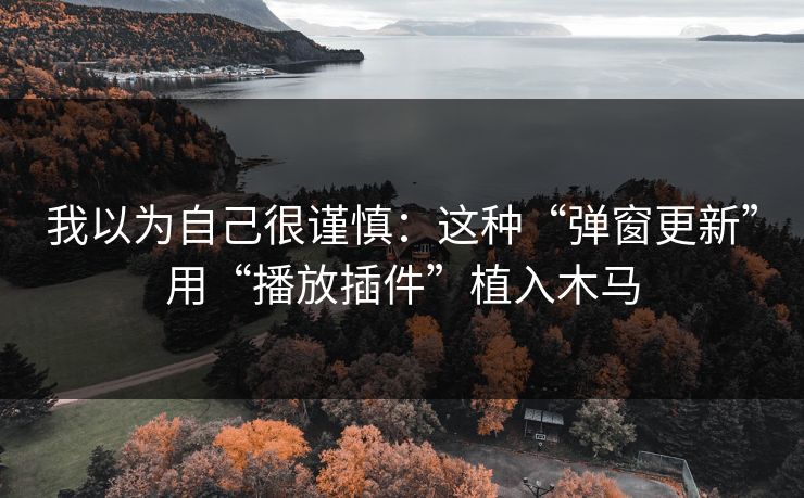 我以为自己很谨慎:这种“弹窗更新”用“播放插件”植入木马 我以为自己很谨慎:这种“弹窗更新”用“播放插件”植入木马