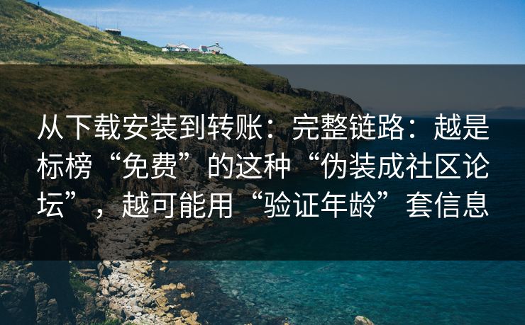 从下载安装到转账：完整链路：越是标榜“免费”的这种“伪装成社区论坛”，越可能用“验证年龄”套信息